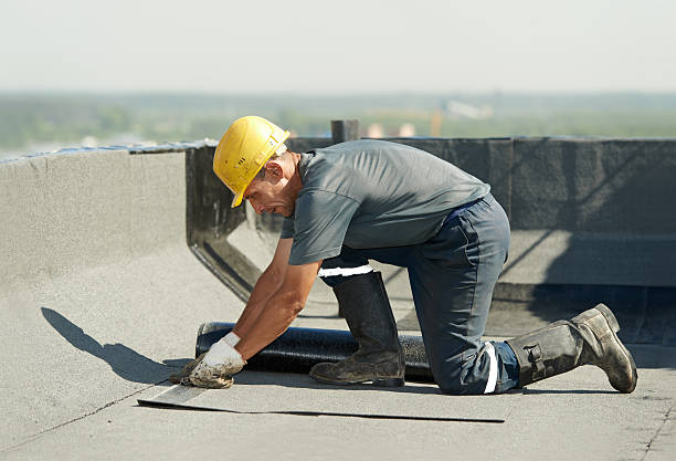 Best DIY Insulation Kits and Guidance in Harrisonville, MO