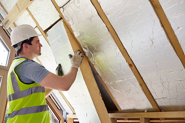 Best Commercial Insulation in Harrisonville, MO