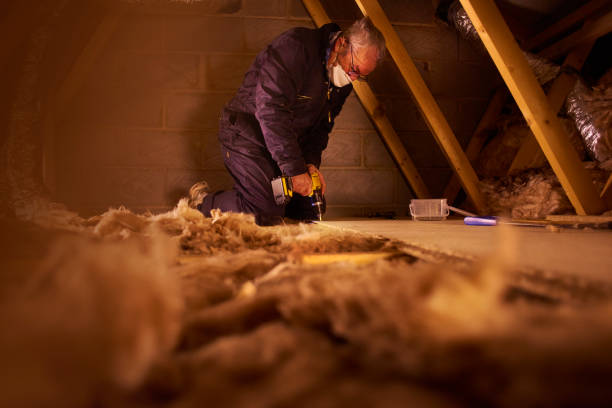 Best Insulation Maintenance and Repair in Harrisonville, MO